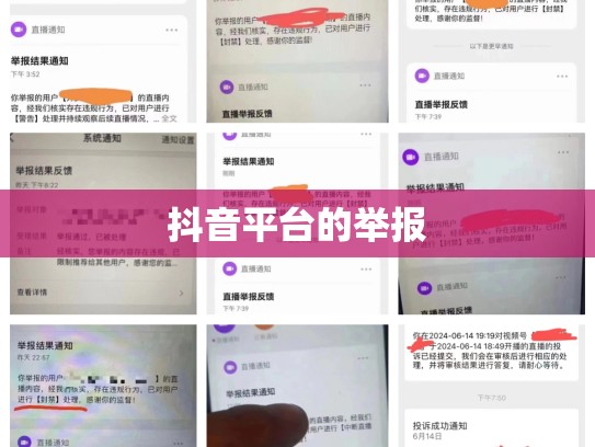 抖音平台的举报