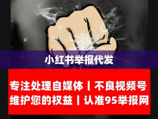 小红书举报代发