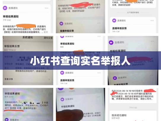 小红书查询实名举报人