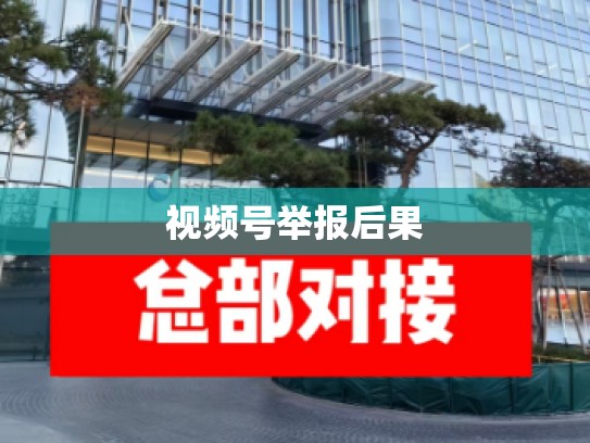 视频号举报后果