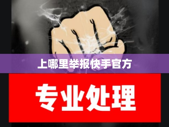 上哪里举报快手官方