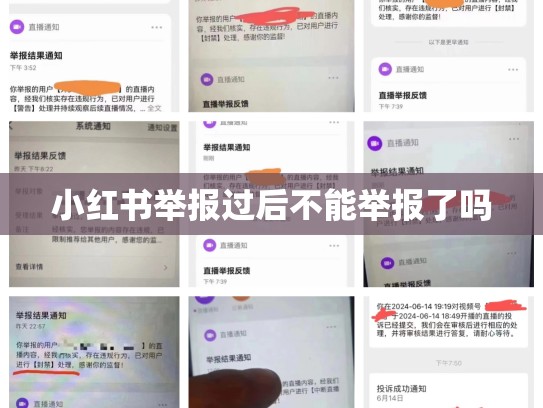 小红书举报过后不能举报了吗