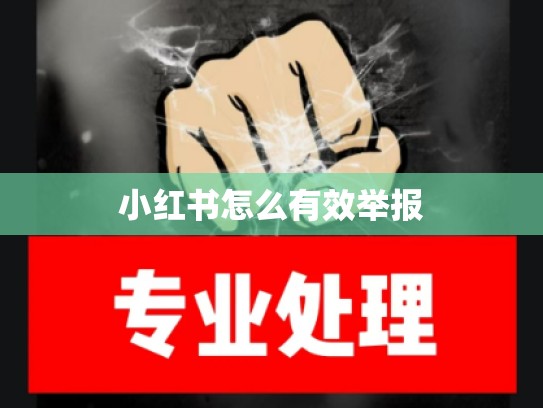 小红书怎么有效举报