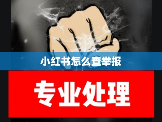 小红书怎么查举报