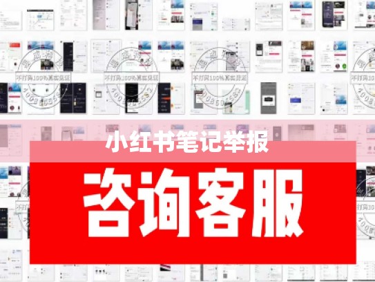 小红书笔记举报