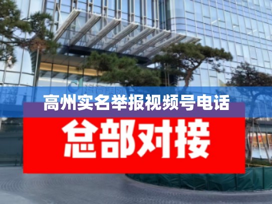 高州实名举报视频号电话