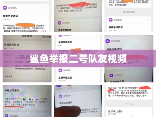 鲨鱼举报二号队友视频