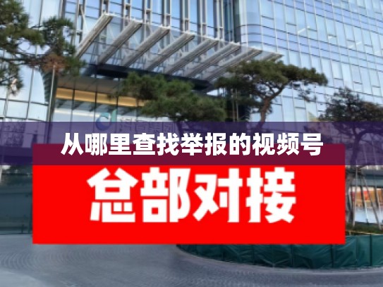 从哪里查找举报的视频号