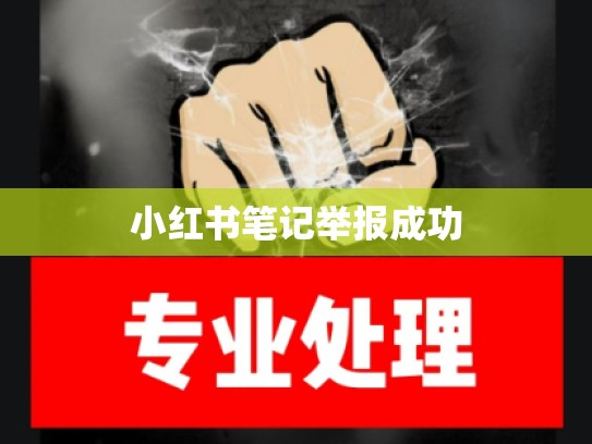 小红书笔记举报成功