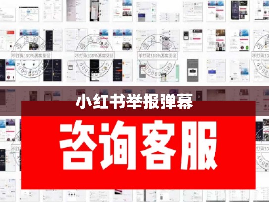 小红书举报弹幕