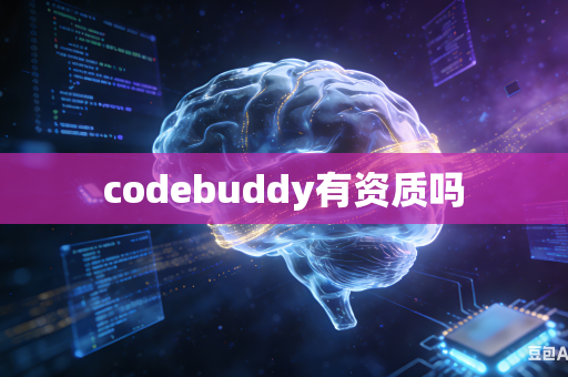 codebuddy有资质吗