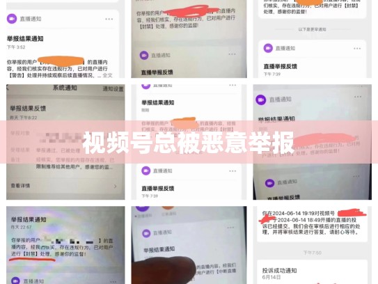 视频号总被恶意举报