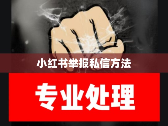 小红书举报私信方法