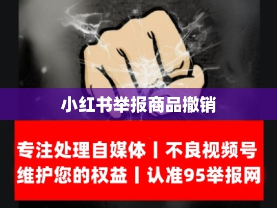 小红书举报商品撤销