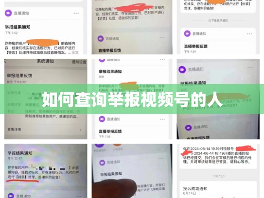 如何查询举报视频号的人