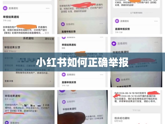 小红书如何正确举报