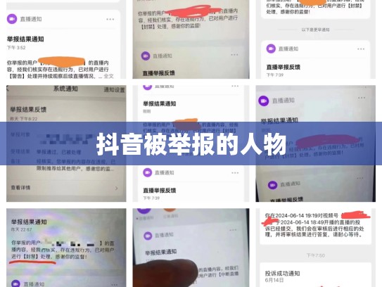 抖音被举报的人物