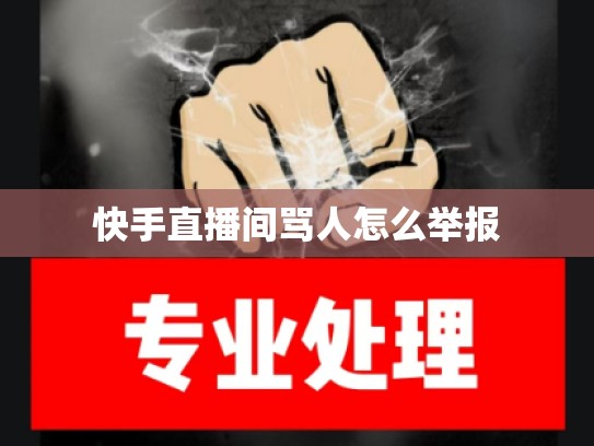 快手直播间骂人怎么举报