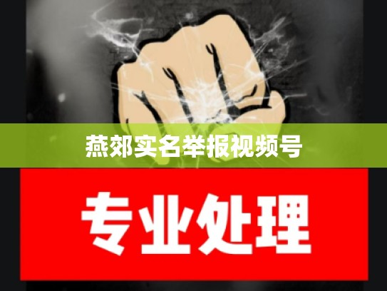 燕郊实名举报视频号