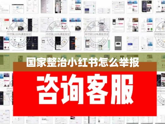 国家整治小红书怎么举报