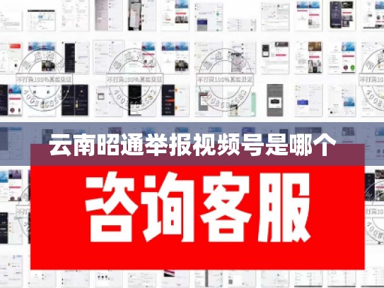 云南昭通举报视频号是哪个