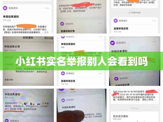 小红书实名举报别人会看到吗