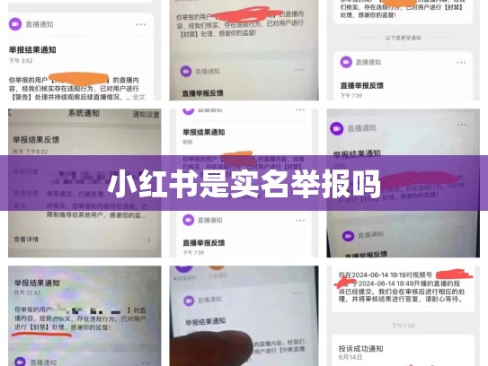 小红书是实名举报吗