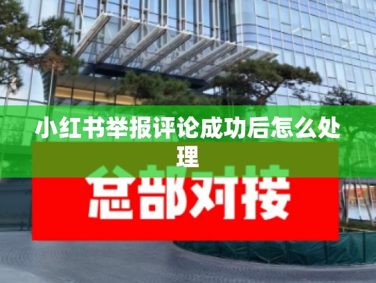 小红书举报评论成功后怎么处理
