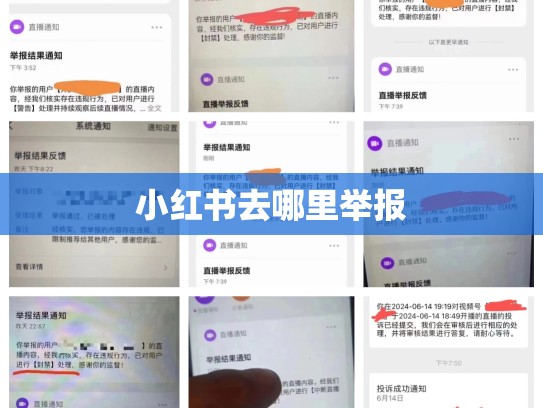 小红书去哪里举报