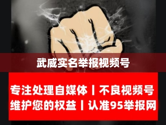 武威实名举报视频号