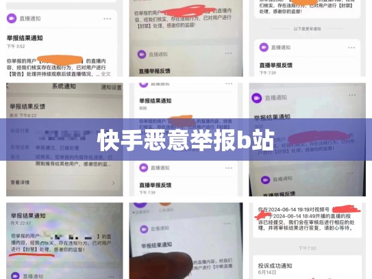 快手恶意举报b站