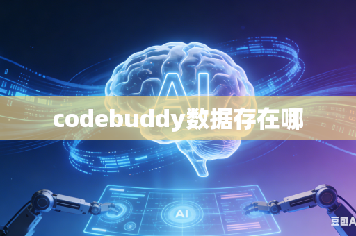 codebuddy数据存在哪