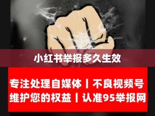 小红书举报多久生效