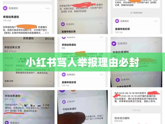 小红书骂人举报理由必封