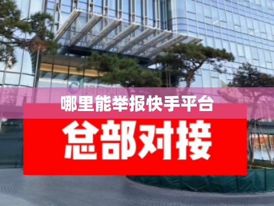哪里能举报快手平台