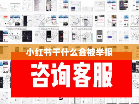 小红书干什么会被举报