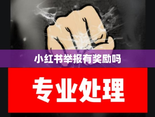 小红书举报有奖励吗