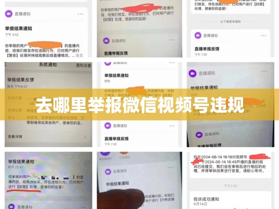 去哪里举报微信视频号违规