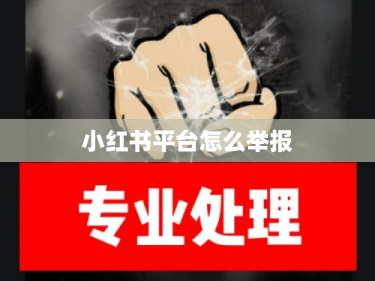小红书平台怎么举报
