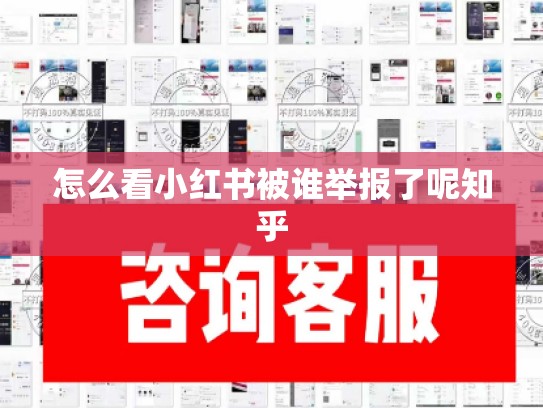 怎么看小红书被谁举报了呢知乎