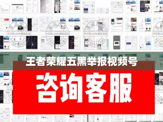 王者荣耀五黑举报视频号