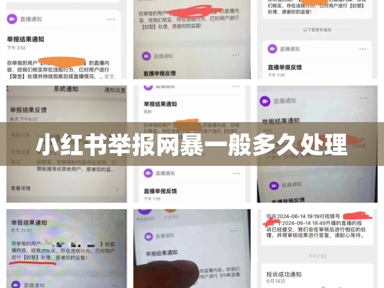 小红书举报网暴一般多久处理