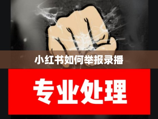 小红书如何举报录播