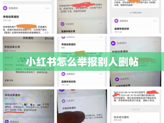 小红书怎么举报别人删帖