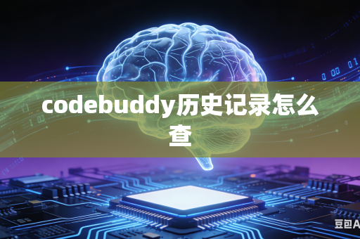 codebuddy历史记录怎么查