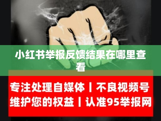 小红书举报反馈结果在哪里查看