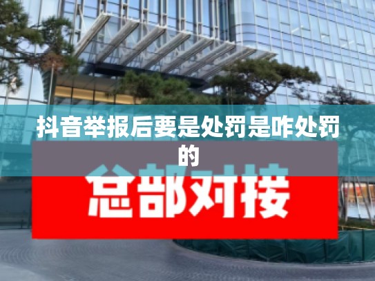 抖音举报后要是处罚是咋处罚的