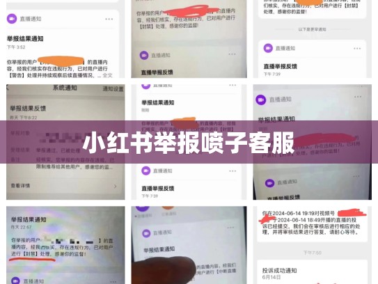 小红书举报喷子客服