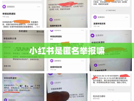 小红书是匿名举报嘛