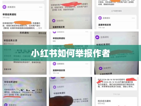 小红书如何举报作者